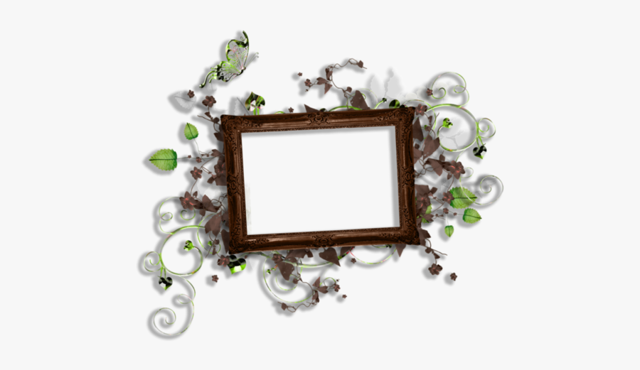 Frog, Transparent Clipart