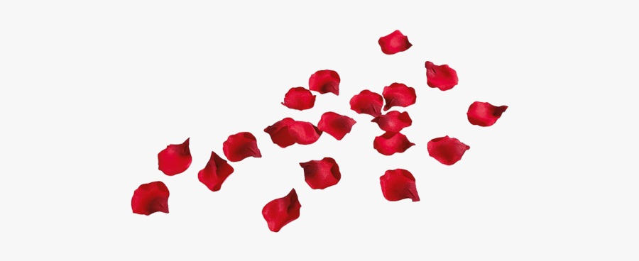 Rose Petal Transparent Background, Transparent Clipart