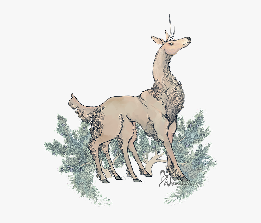 Giraffe, Transparent Clipart