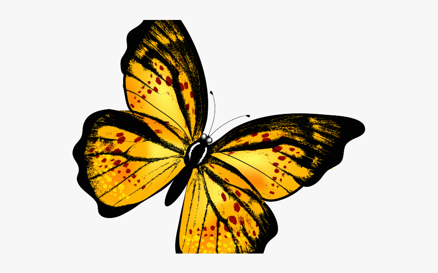 Yellow Black Butterfly Transparent, Transparent Clipart