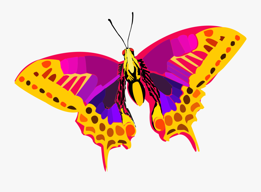 Abstract Colorful Butterfly Icons Png - Butterfly Png Image Hd, Transparent Clipart