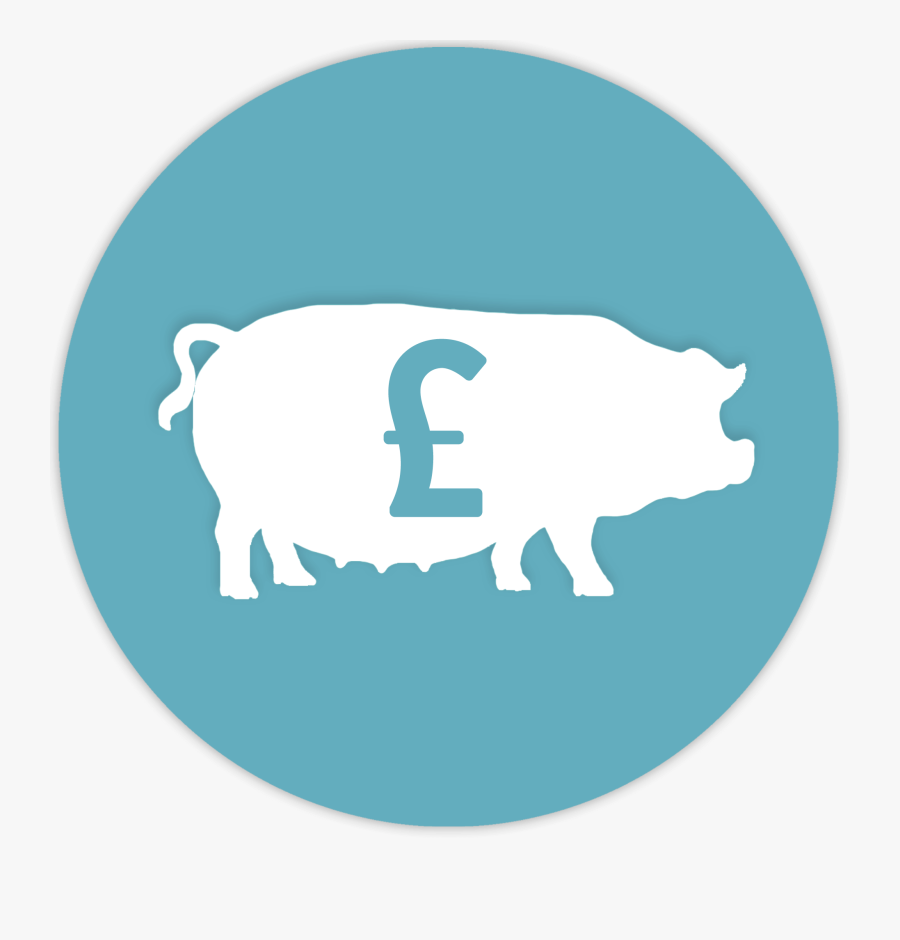 Funny Pork, Transparent Clipart