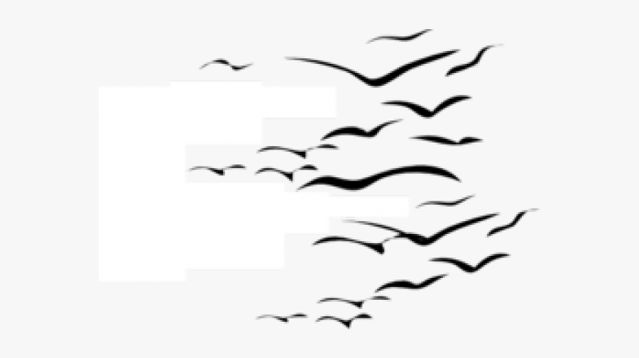 Flock Of Birds Clipart White - Darkness, Transparent Clipart
