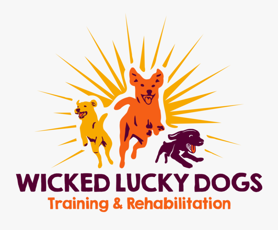 Transparent Dog Obedience Clipart - Illustration, Transparent Clipart