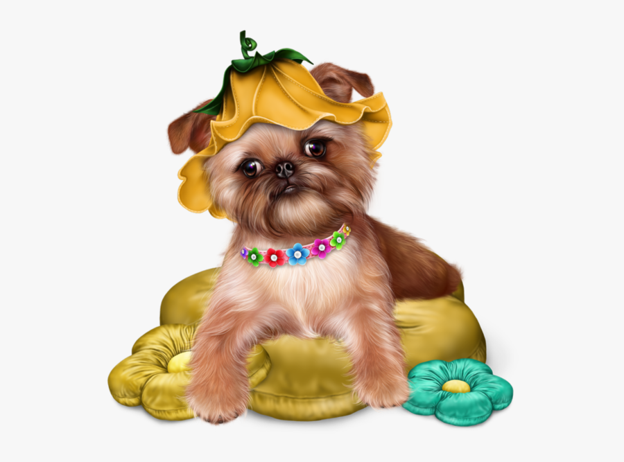 Have A Beautiful Tuesday, Transparent Clipart