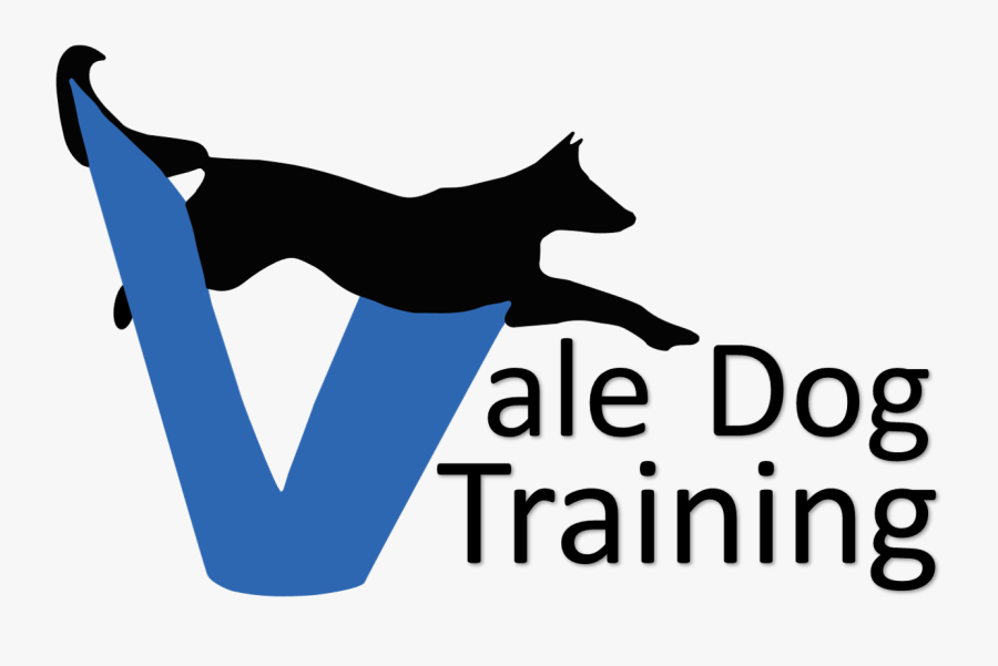 Training Clipart , Png Download - Black Cat, Transparent Clipart