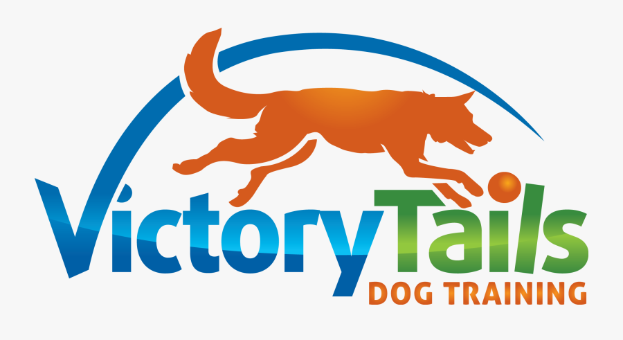 Mansfield Dog Training - Dog Catches Something, Transparent Clipart