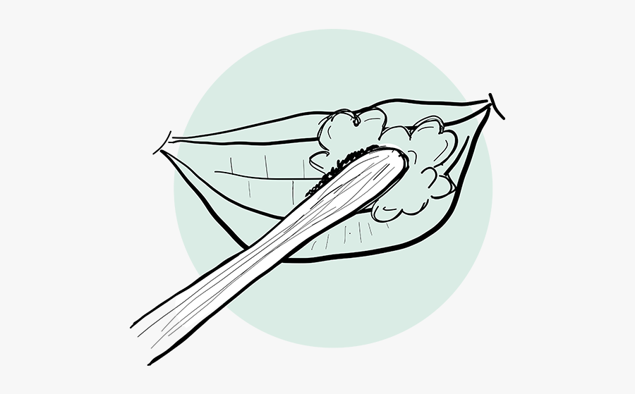 Illustration, Transparent Clipart