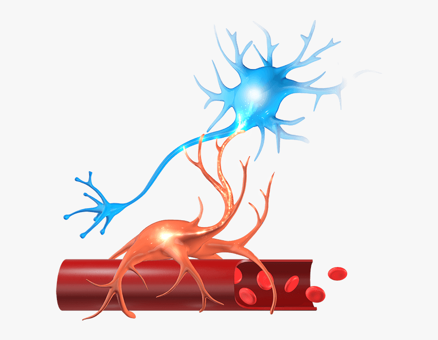 Graphic Collection Of Free Cognation Concussion Download - Illustration, Transparent Clipart
