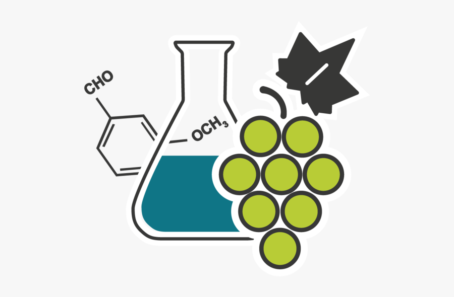 Department Of Microbiology Biochemistry - Biochemistry Clipart, Transparent Clipart