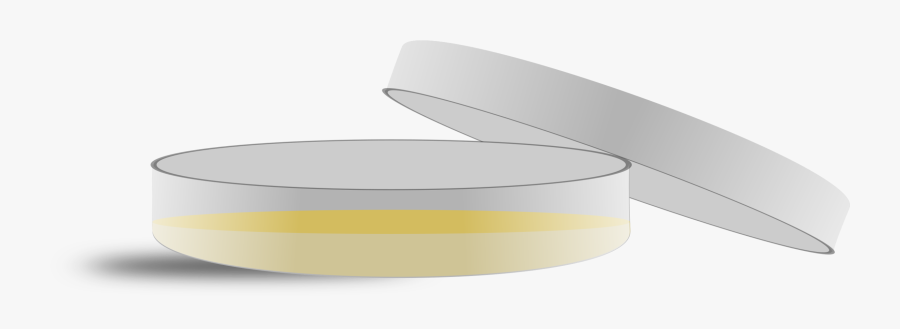 Table,angle,yellow - Petri Plates Clip Art, Transparent Clipart