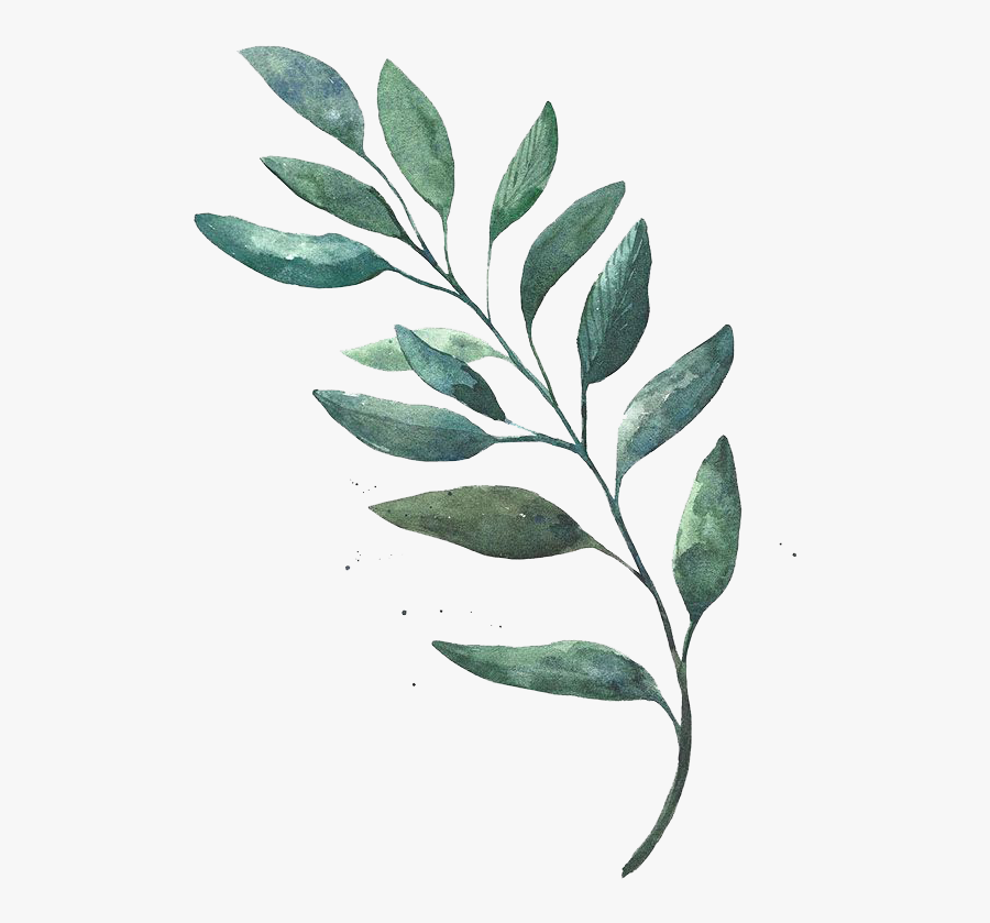 Transparent Watercolor Leaves Png, Transparent Clipart