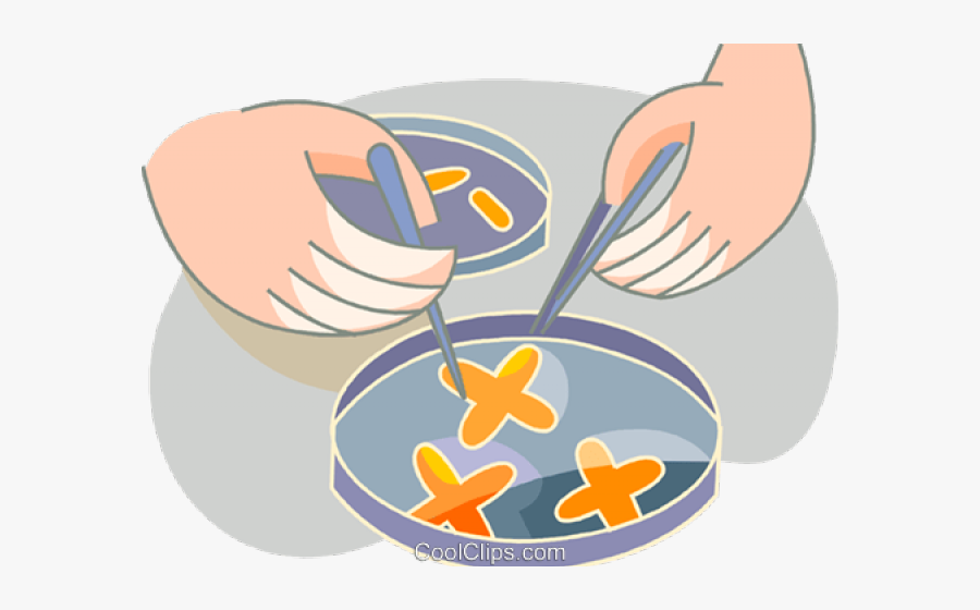 Microbiology Cliparts - Microbiologia Clipart, Transparent Clipart