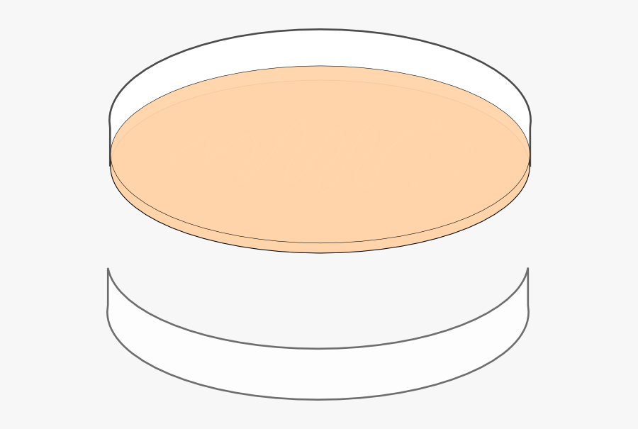 Circle, Transparent Clipart