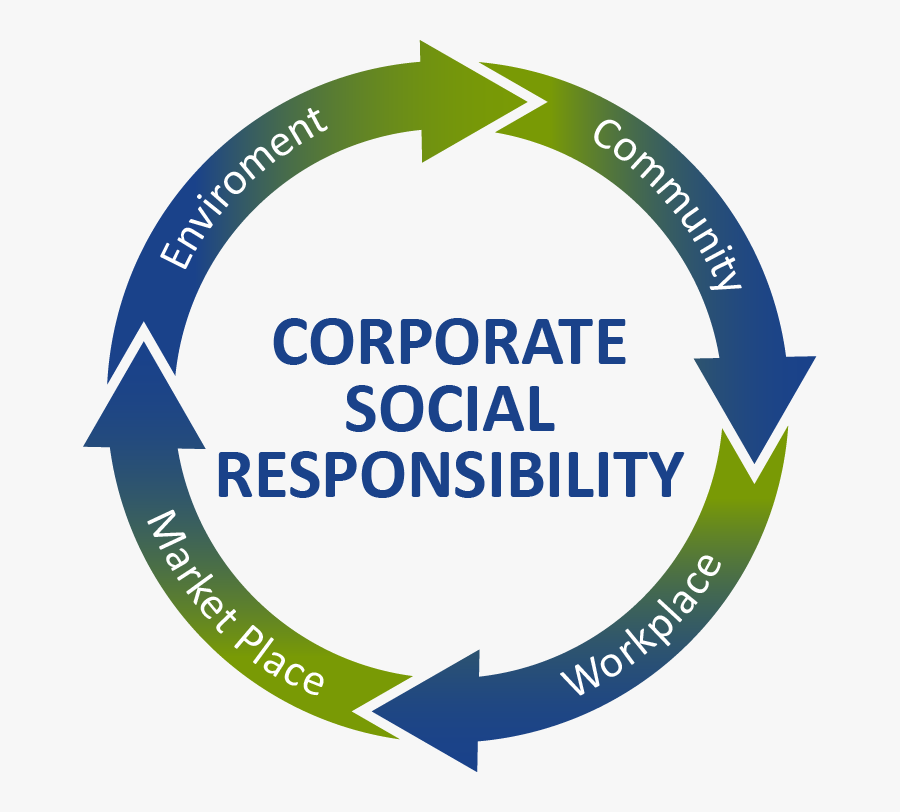 Circle, Transparent Clipart