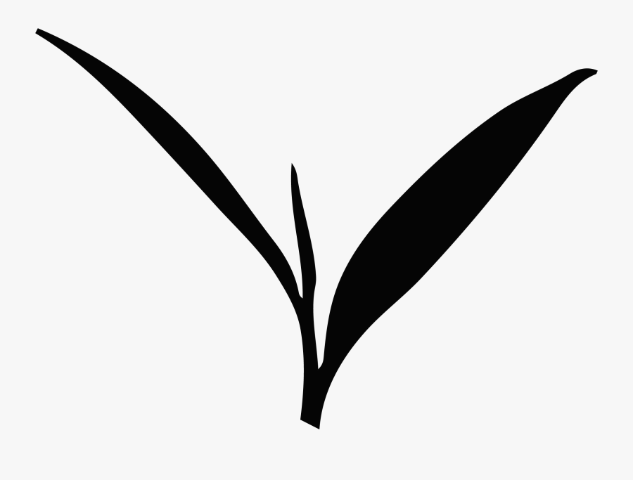 Leaf-1, Transparent Clipart