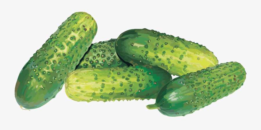 Cucumber, Transparent Clipart