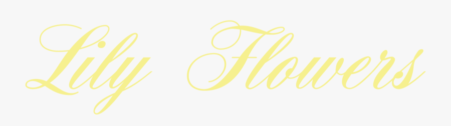 Denver, Co Florist - Calligraphy, Transparent Clipart