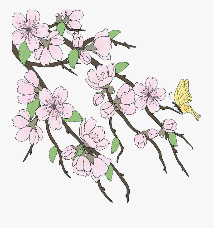 Branches Drawing Apple Blossom, Transparent Clipart