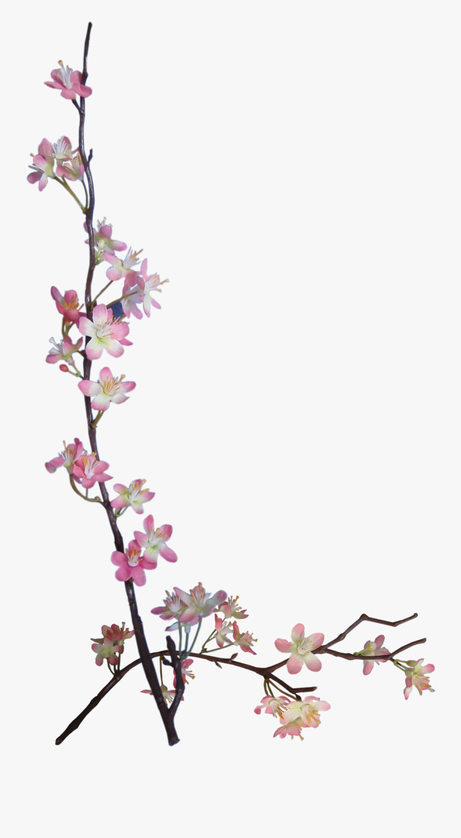 Transparent Apple Blossom Png - Embellishments For Digital Scrapbooking, Transparent Clipart