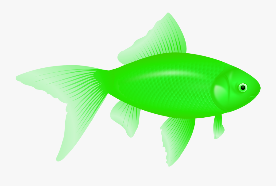 Fish Png Icon - Transparent Background Red Fish Clipart, Transparent Clipart