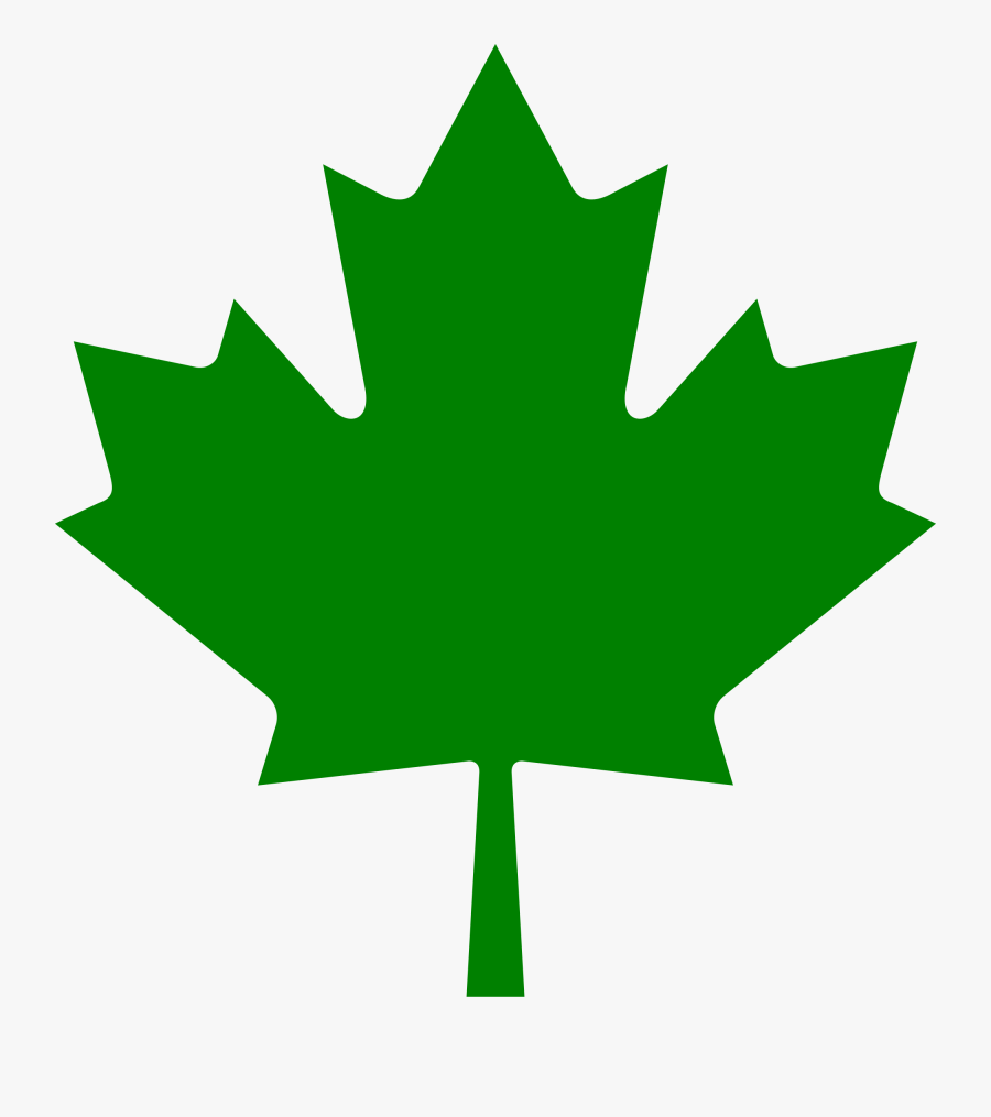 Willpower Images Of Canadian Maple Leaf File G, Transparent Clipart