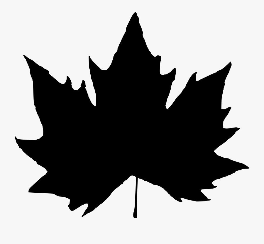 15 Leaf Silhouette, Transparent Clipart