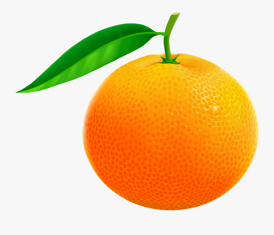 Orange Fruit Clipart, Transparent Clipart