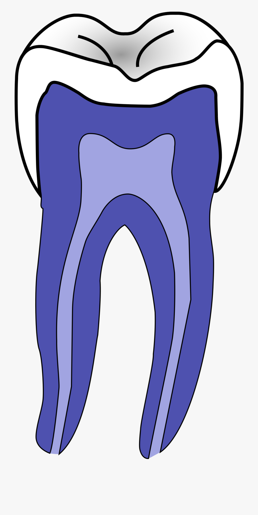 Dentistry, Transparent Clipart