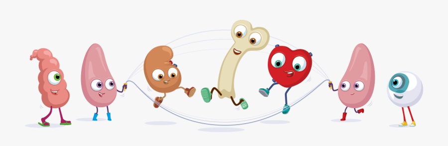 Exercise Clipart Healthy Lifestyle - Cartoon, Transparent Clipart