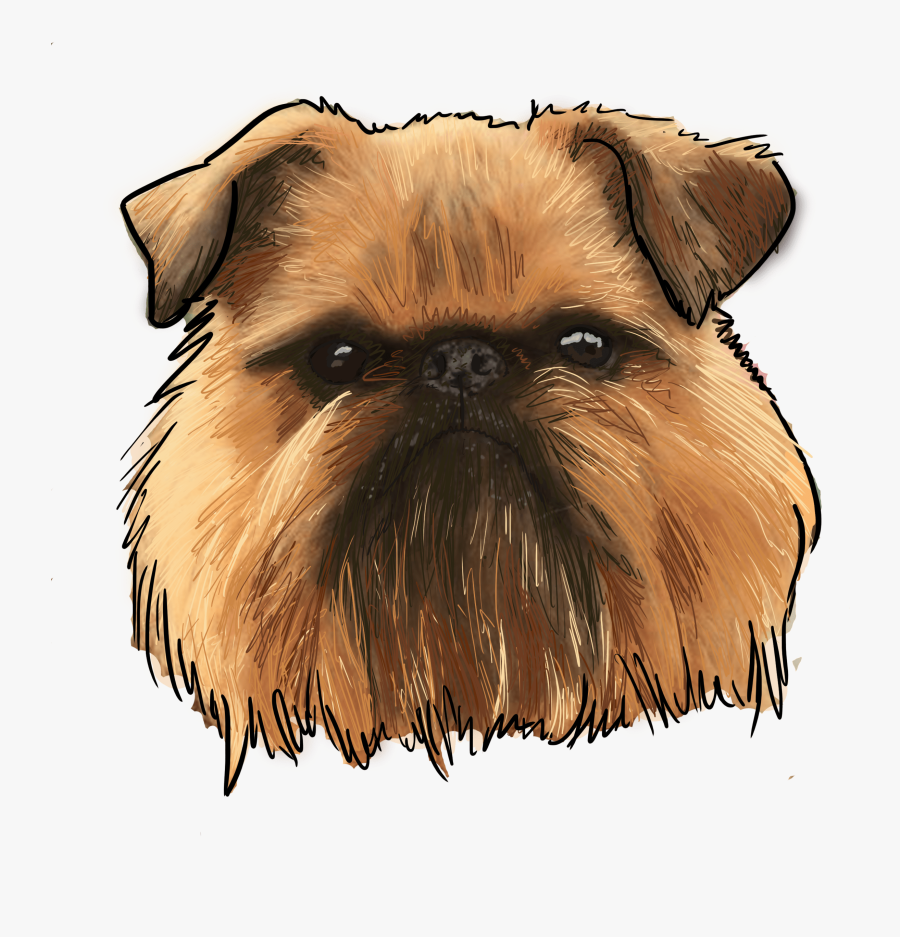 Clip Art Why Are You - Brussels Griffon Png, Transparent Clipart