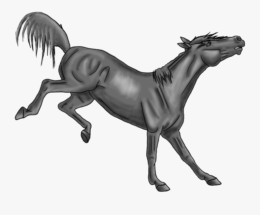 Transparent Cartoon Horse Png - Bucking Horse Png, Transparent Clipart