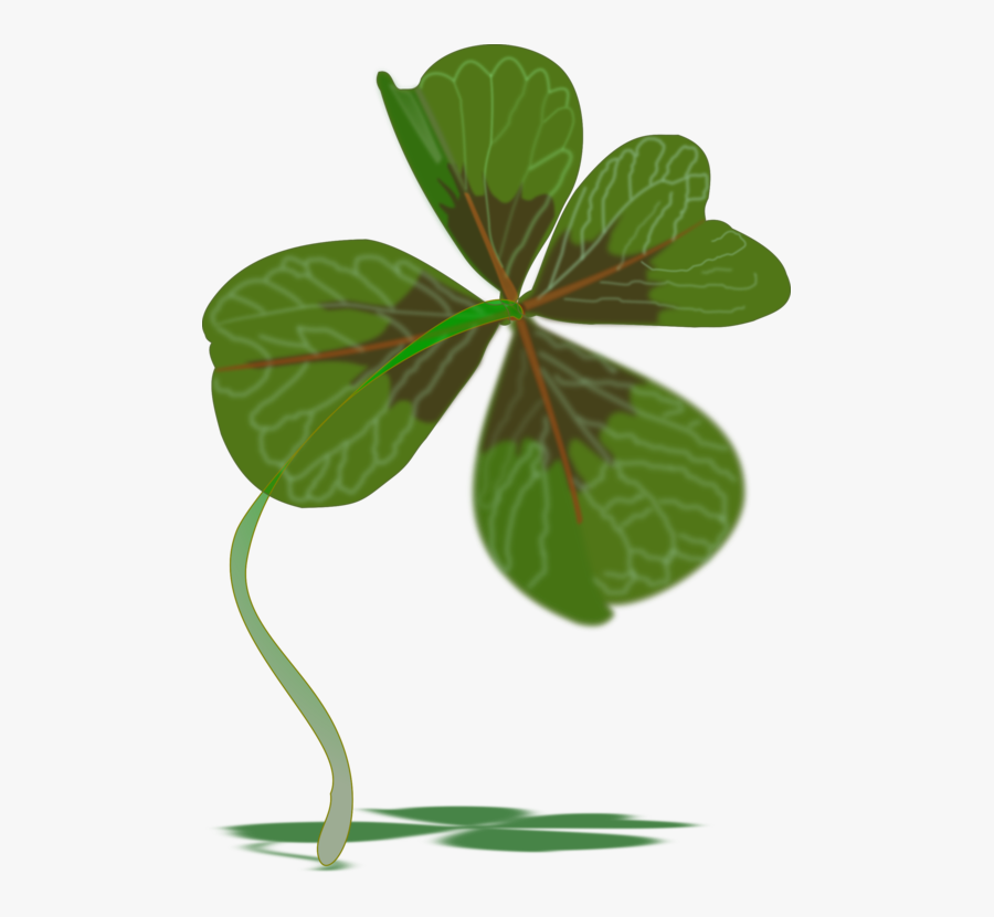 Shamrock,plant Stem,plant, Transparent Clipart