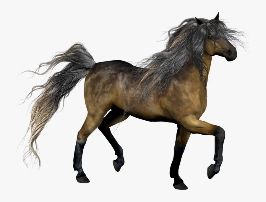 رسم حصان ثلاثي الابعاد Clipart , Png Download - رسم حصان ثلاثي الابعاد, Transparent Clipart
