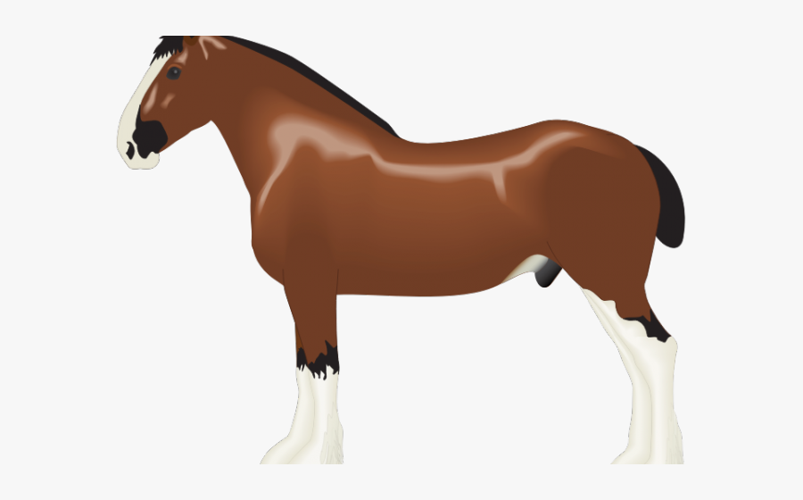 Clydesdale Clipart, Transparent Clipart