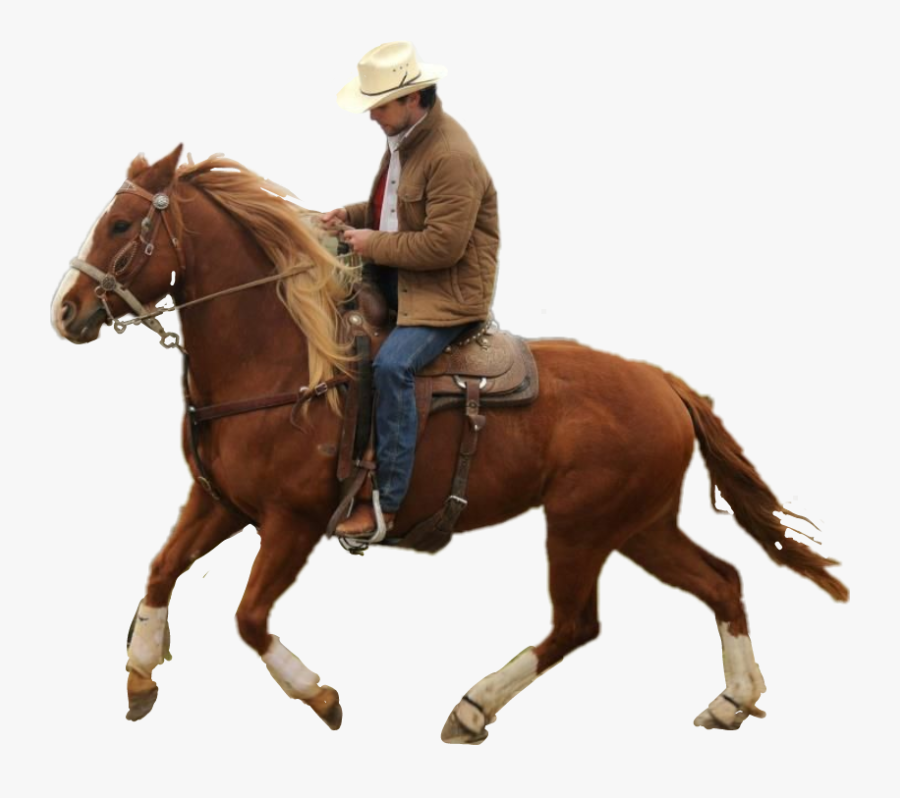 Transparent Cowgirl On Horse Clipart - Cowboy Who Rides A Horse, Transparent Clipart