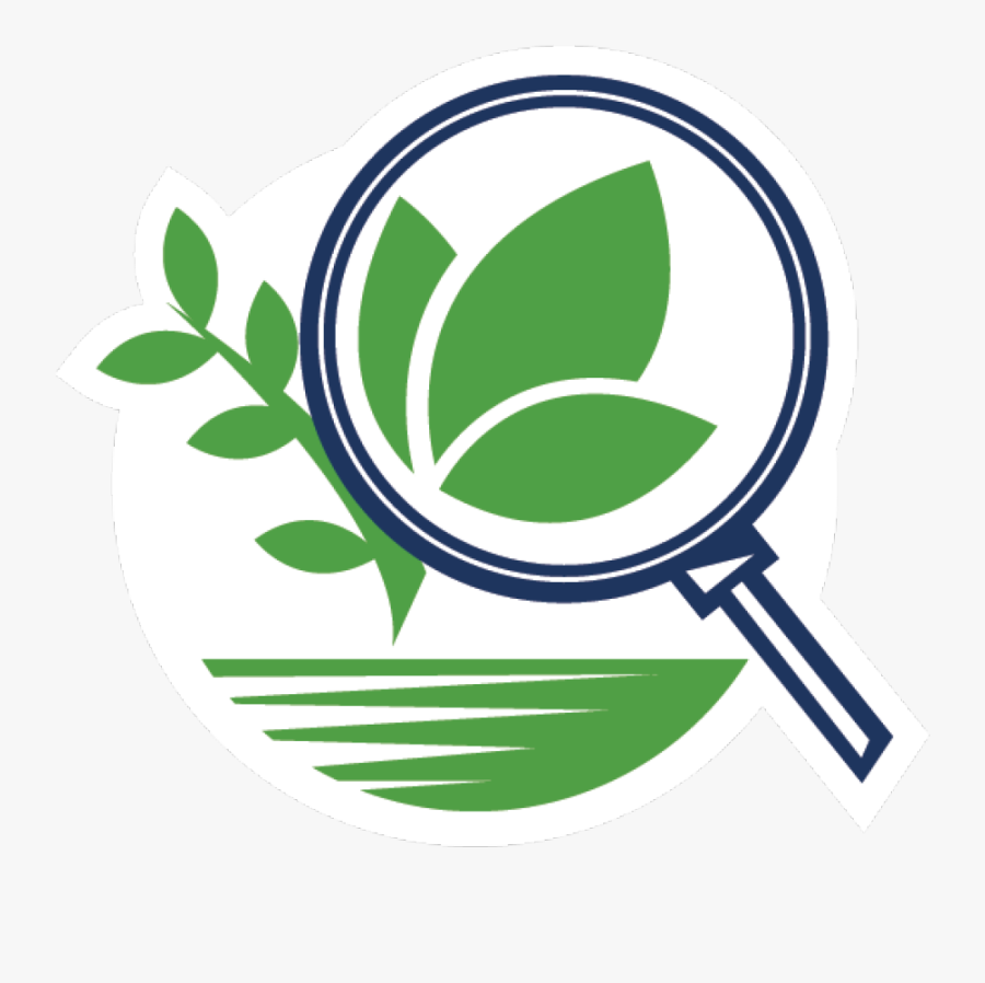 Emblem, Transparent Clipart