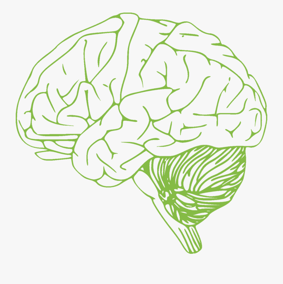 Brain Clip Art, Transparent Clipart