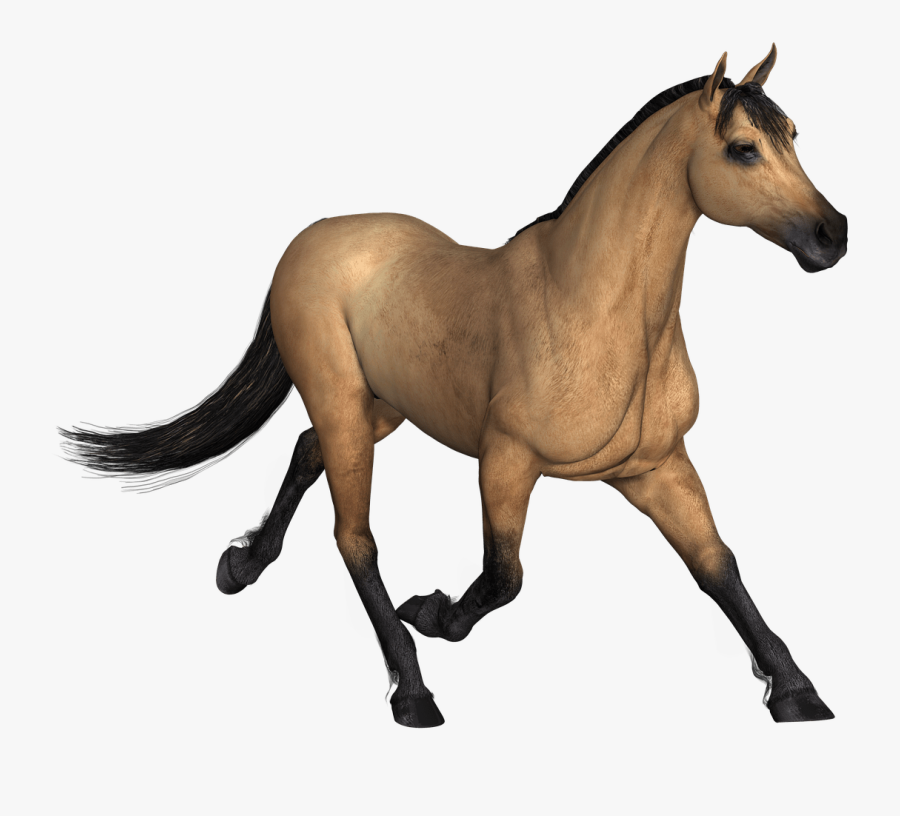 Brown Horse Running - Horse Render, Transparent Clipart
