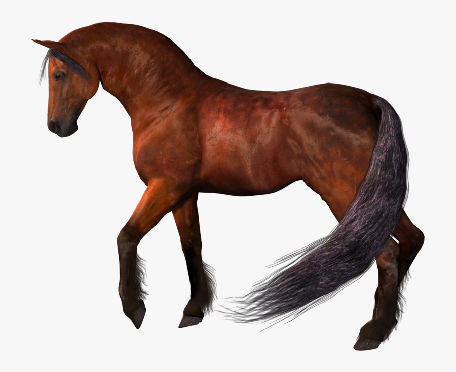 Brown Horse Png - Horse Png, Transparent Clipart