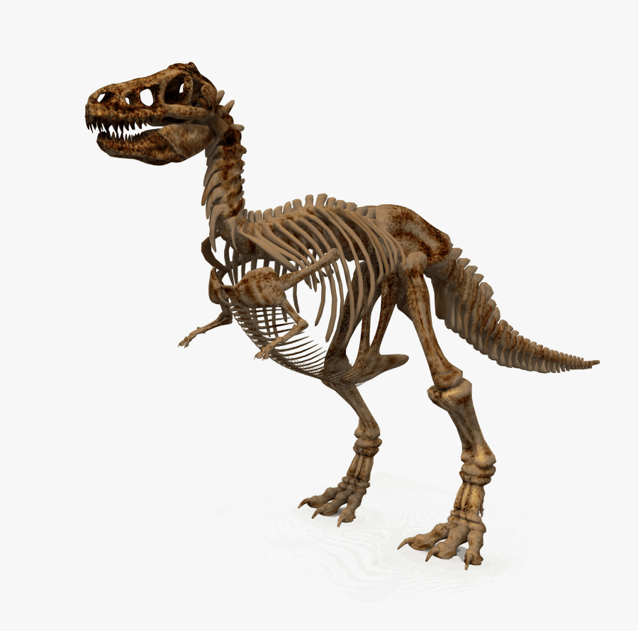 Free Png Download Dinosaur Png Images Background Png - T Rex Dinosaur Bones, Transparent Clipart