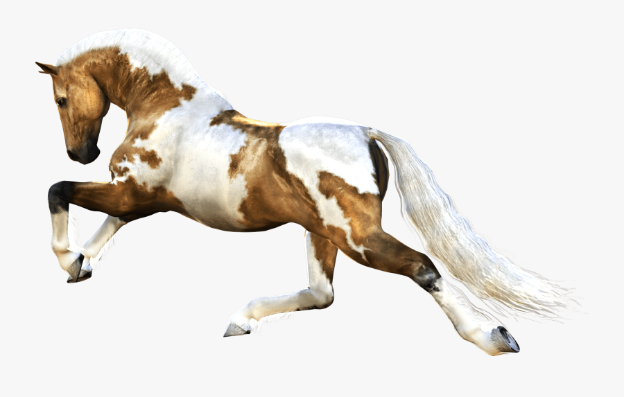 Brown And White Horse Png Image - Horses Png, Transparent Clipart