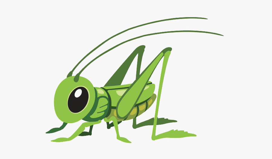 Transparent Background Grasshopperclipart, Transparent Clipart