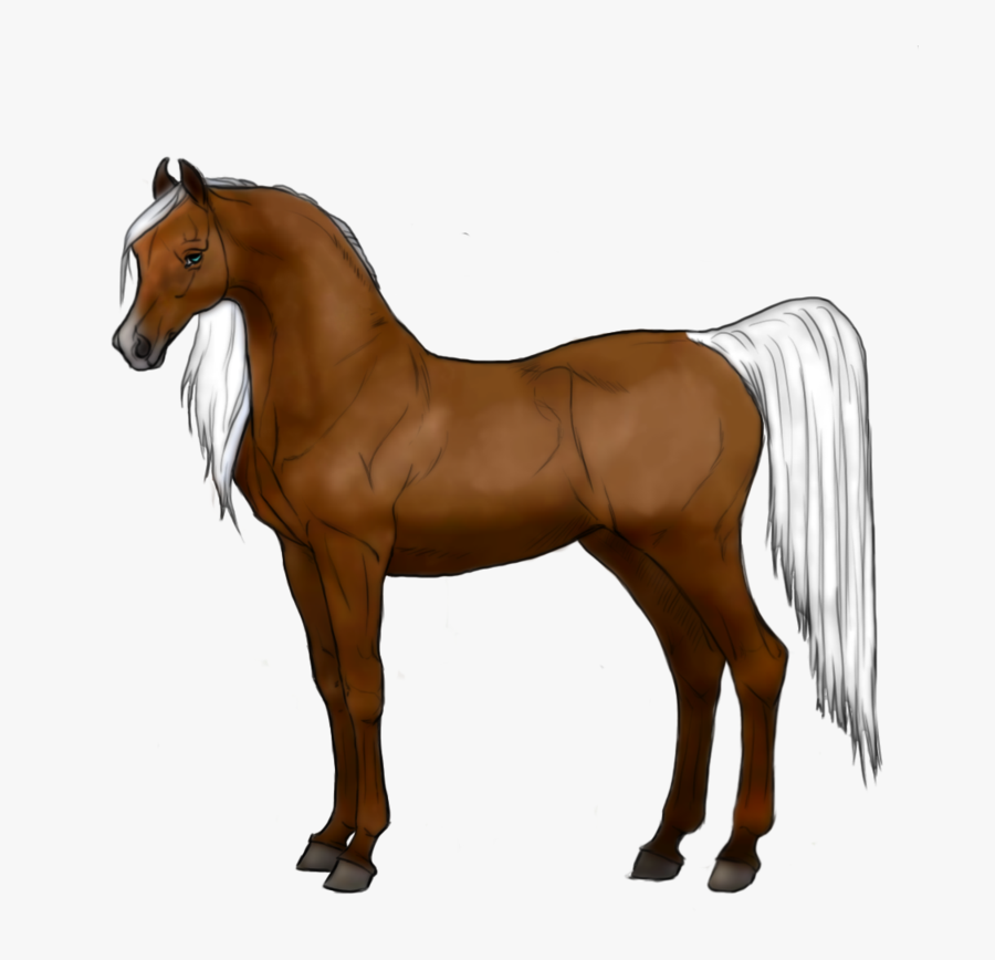 Transparent Free Horse Clipart - Horse, Transparent Clipart