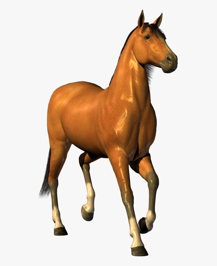 Horses Clipart Cute - Horse Png, Transparent Clipart