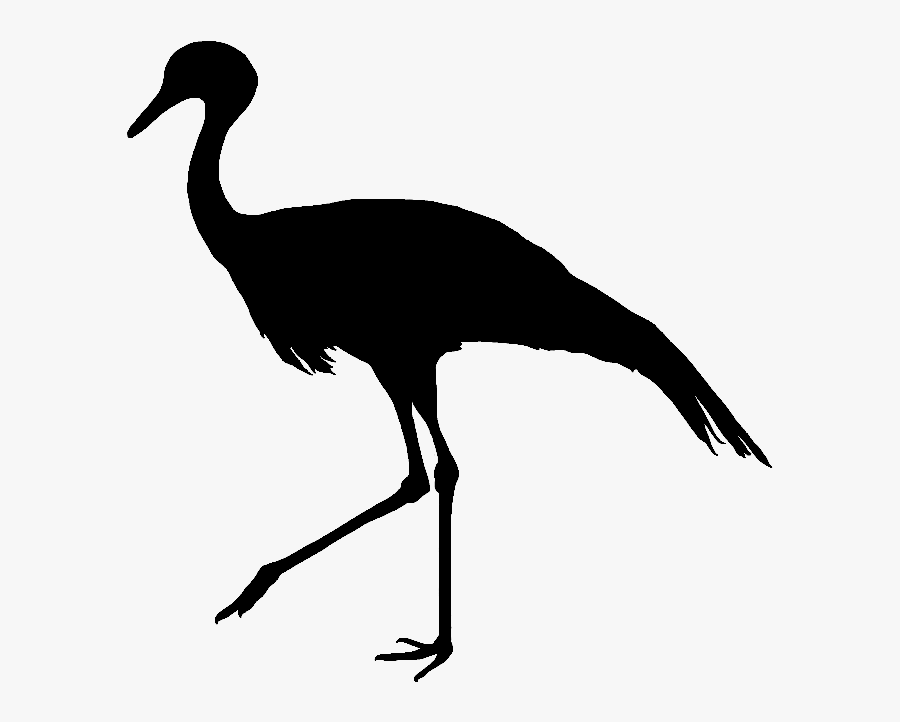 Blue Crane Bird Silhouette Feather - Blue Crane Bird Silhouette Png, Transparent Clipart