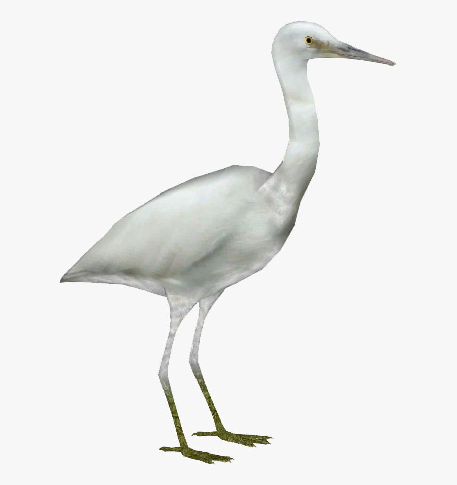 Heron Vector Egret - Egret Png, Transparent Clipart