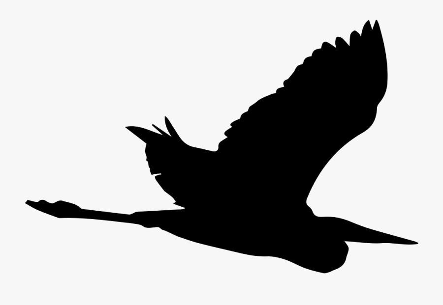 Crane Bird Great Blue Heron Silhouette - Heron Silhouette Png, Transparent Clipart