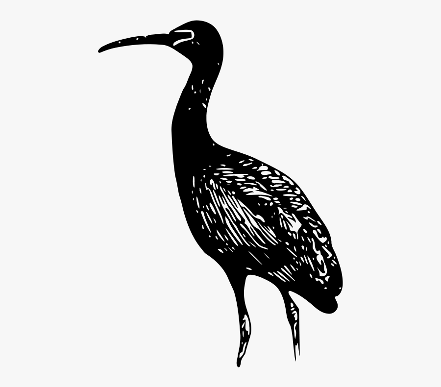 Free Clip Art "glossy Ibis - Ibis Clip Art, Transparent Clipart