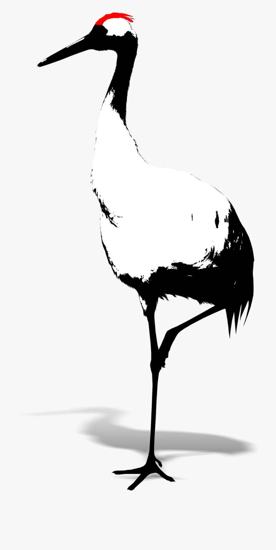 Clip Art Bird With White Beak - Sandhill Crane, Transparent Clipart